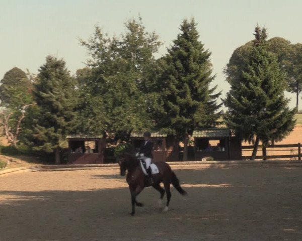 Reitturnier Datteln 2018
