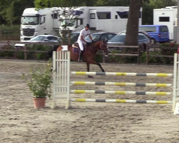 Reitturnier Hamburg-Klein Offenseth/Hell-Stallion-Stud 2018