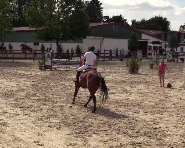 Reitturnier Hamburg-Klein Offenseth/Hell-Stallion-Stud 2018