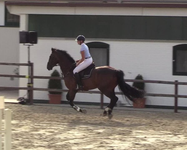 Reitturnier Hamburg-Klein Offenseth/Hell-Stallion-Stud 2018