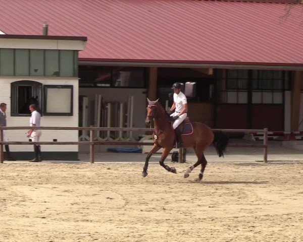 Reitturnier Hamburg-Klein Offenseth/Hell-Stallion-Stud 2018