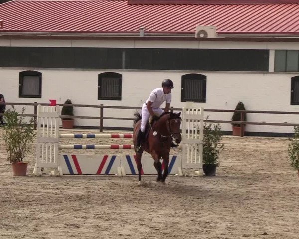 Reitturnier Hamburg-Klein Offenseth/Hell-Stallion-Stud 2018