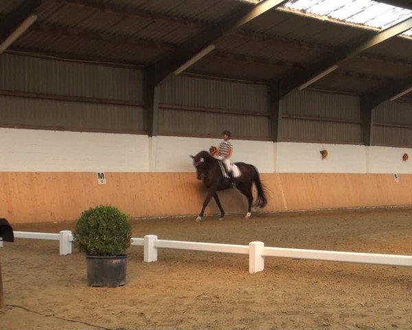 Reitturnier Datteln 2018