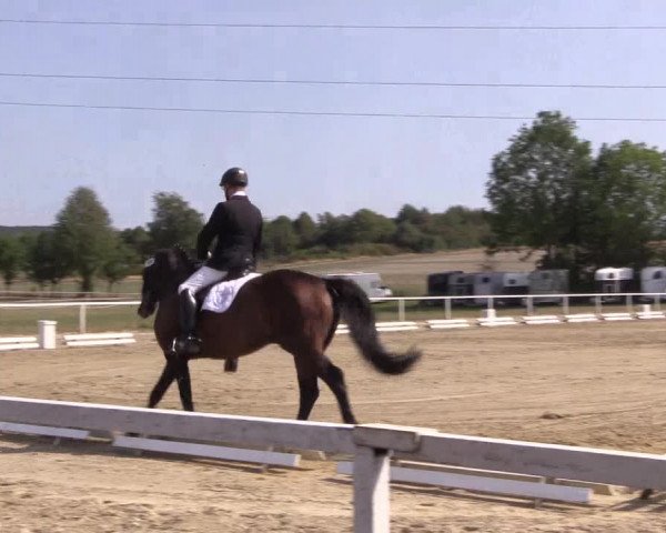 Reitturnier Menden 2018