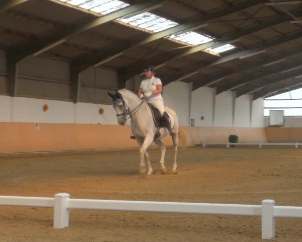 Reitturnier Datteln 2018