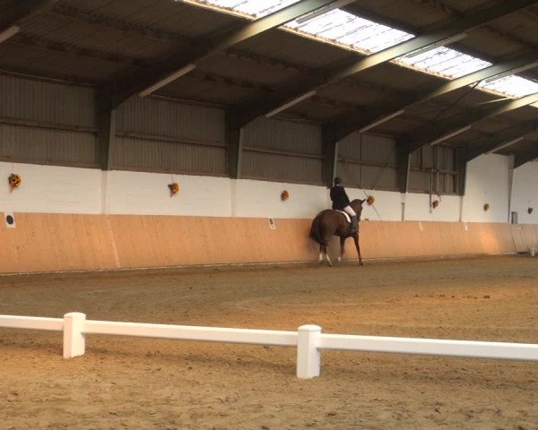 Reitturnier Datteln 2018