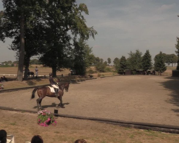 Reitturnier Datteln 2018