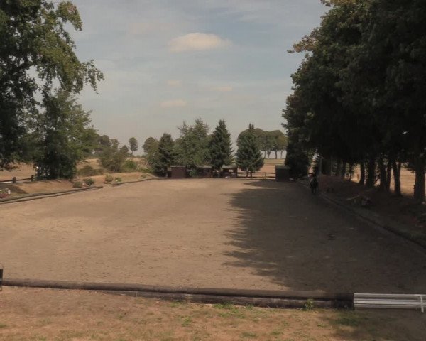 Reitturnier Datteln 2018