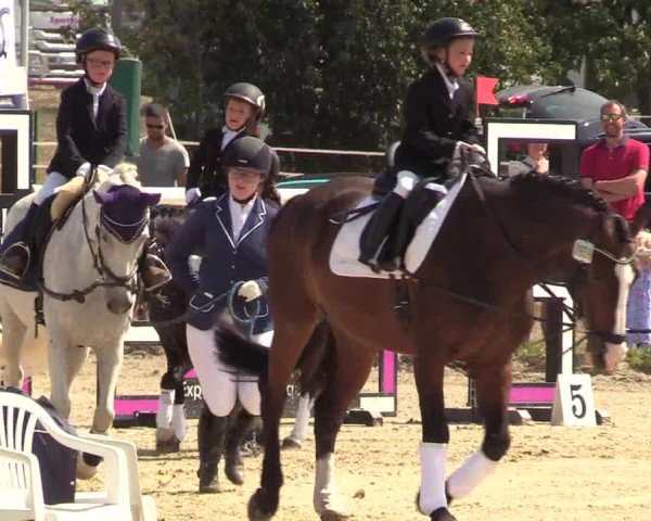 Reitturnier Menden 2018