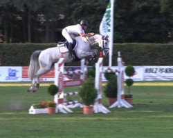 broodmare Cosma Go R (Westphalian, 2006, from Cornet Obolensky)