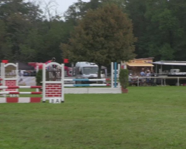 Reitturnier Wulkow 2018