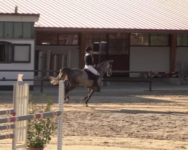 Reitturnier Hamburg-Klein Offenseth/Hell-Stallion-Stud 2018