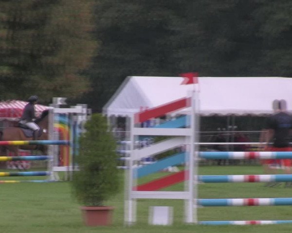 Reitturnier Wulkow 2018