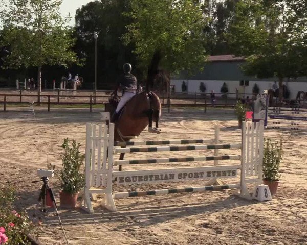 Reitturnier Hamburg-Klein Offenseth/Hell-Stallion-Stud 2018