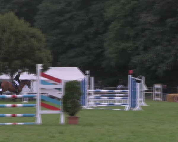 Reitturnier Wulkow 2018