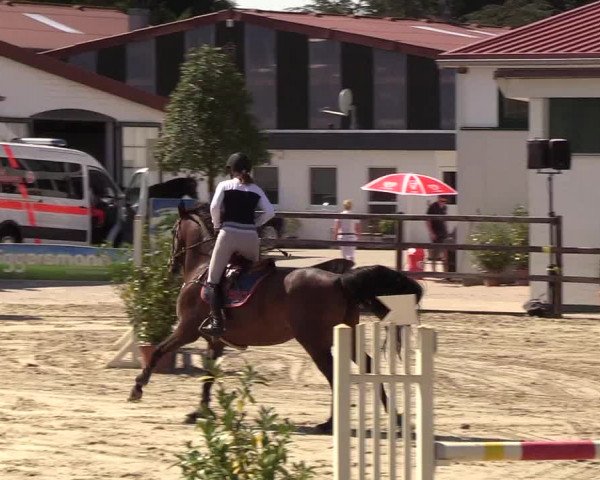 Reitturnier Hamburg-Klein Offenseth/Hell-Stallion-Stud 2018