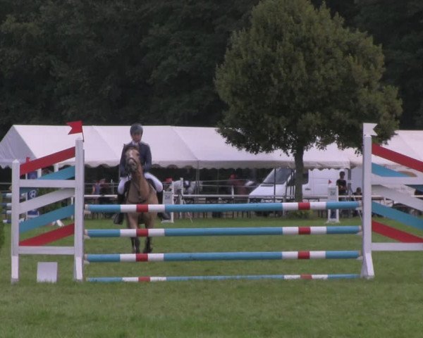Reitturnier Wulkow 2018