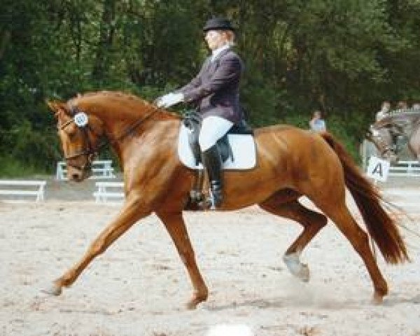 broodmare Winora (Hanoverian, 2002, from Wolkentanz I)