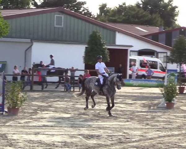 Reitturnier Hamburg-Klein Offenseth/Hell-Stallion-Stud 2018