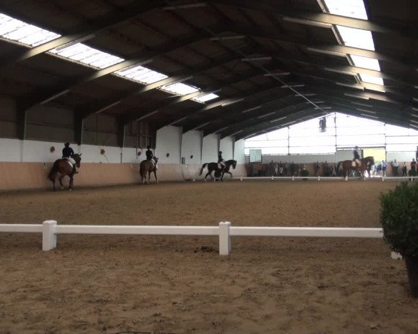 Reitturnier Datteln 2018