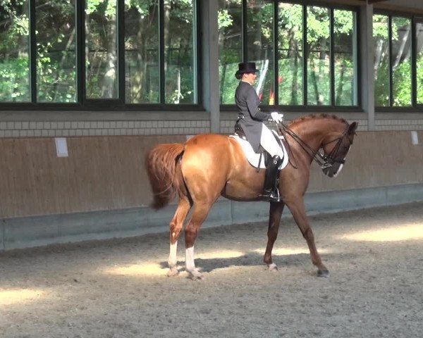 Bergisch Classics - Hebborner Hof 2018