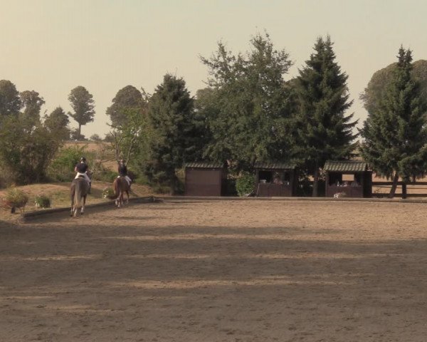 Reitturnier Datteln 2018