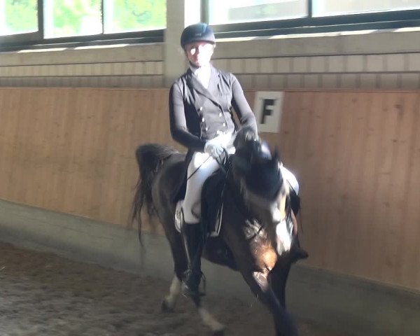 Bergisch Classics - Hebborner Hof 2018