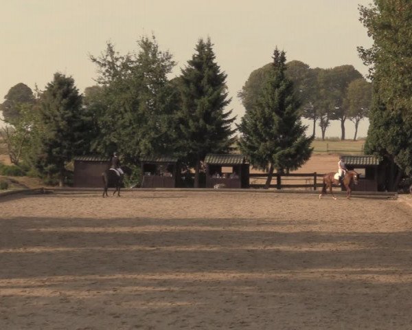 Reitturnier Datteln 2018