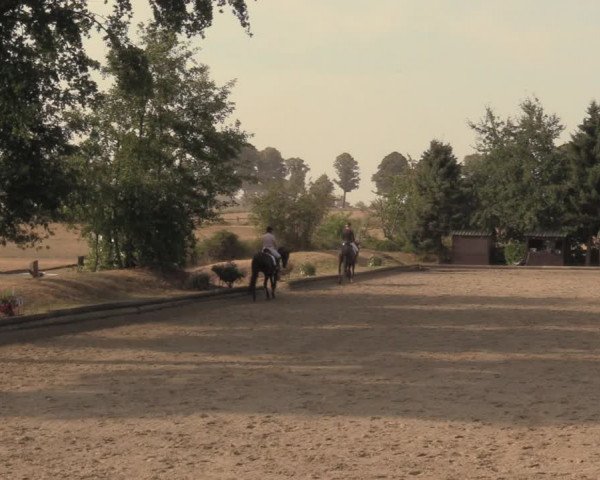 Reitturnier Datteln 2018
