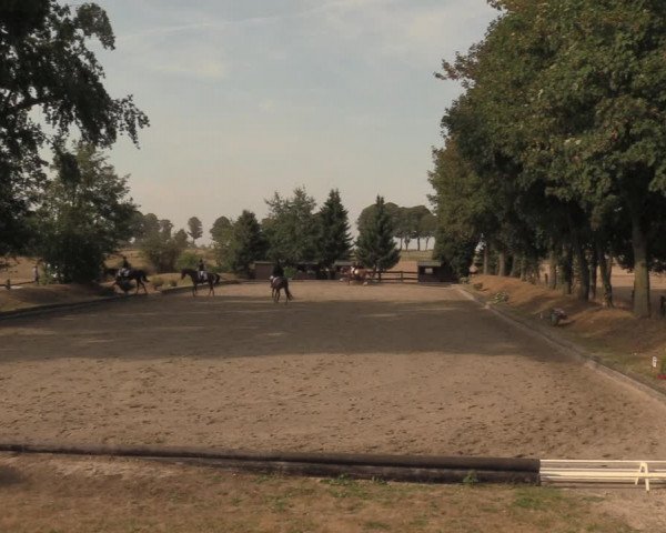 Reitturnier Datteln 2018