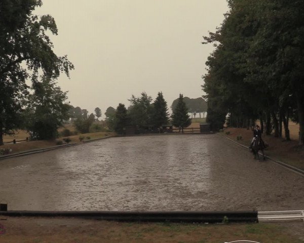 Reitturnier Datteln 2018