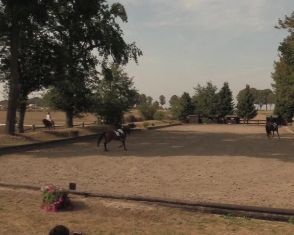 Reitturnier Datteln 2018