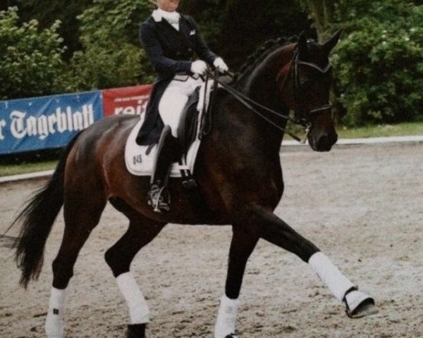 broodmare Dadiva De Luna (Hanoverian, 2002, from Donnerhall)