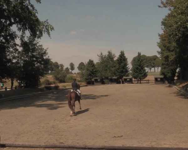 Reitturnier Datteln 2018