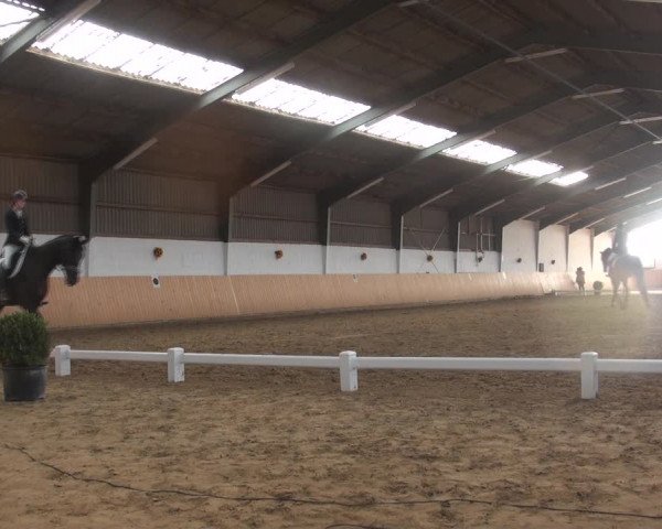 Reitturnier Datteln 2018