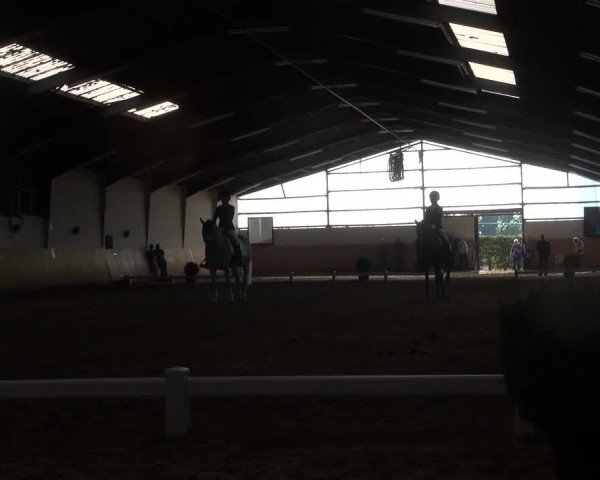 Reitturnier Datteln 2018