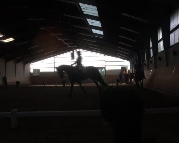 Reitturnier Datteln 2018