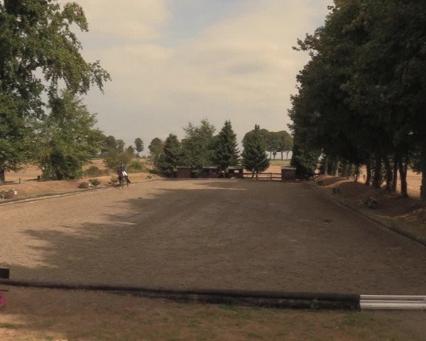 Reitturnier Datteln 2018