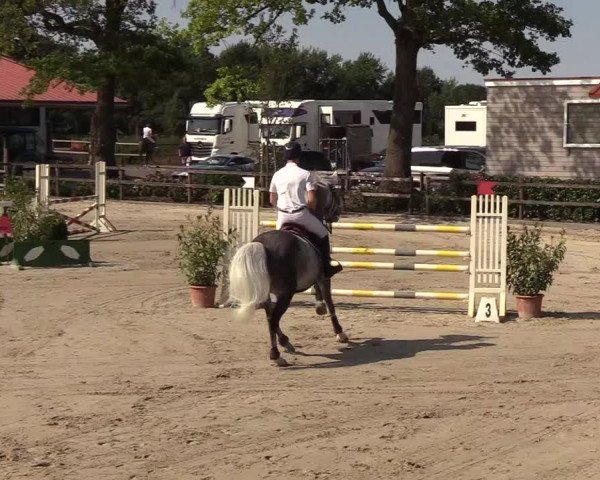 Reitturnier Hamburg-Klein Offenseth/Hell-Stallion-Stud 2018