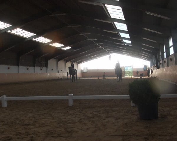Reitturnier Datteln 2018