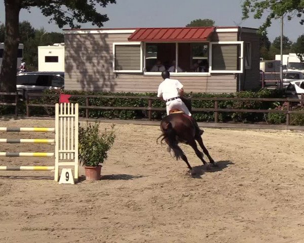 Reitturnier Hamburg-Klein Offenseth/Hell-Stallion-Stud 2018