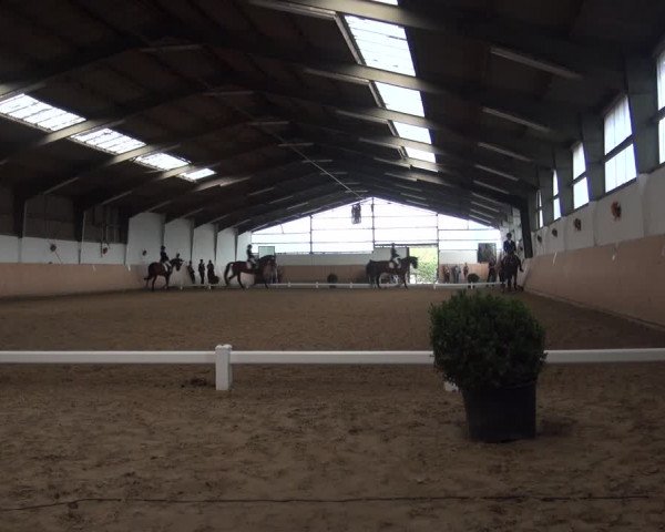 Reitturnier Datteln 2018