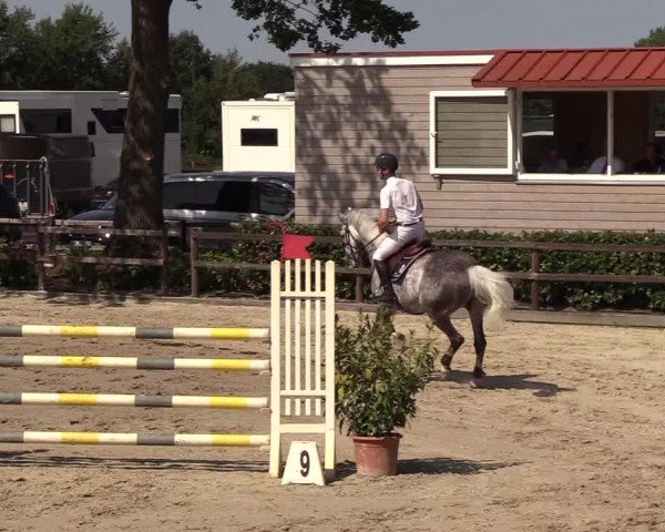 Reitturnier Hamburg-Klein Offenseth/Hell-Stallion-Stud 2018