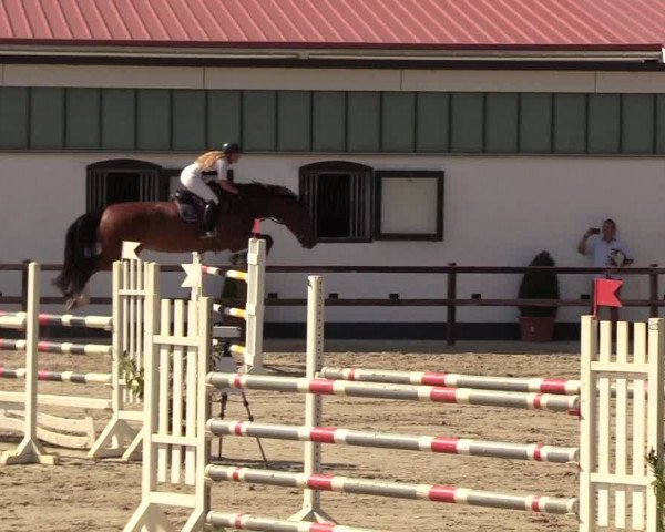 Reitturnier Hamburg-Klein Offenseth/Hell-Stallion-Stud 2018