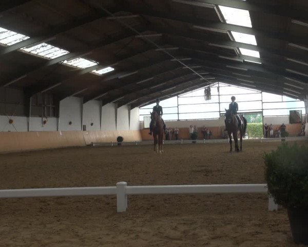 Reitturnier Datteln 2018
