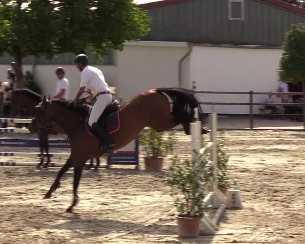 Reitturnier Hamburg-Klein Offenseth/Hell-Stallion-Stud 2018