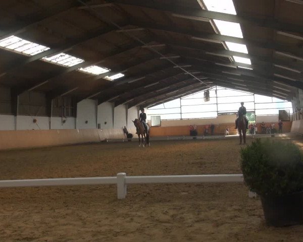 Reitturnier Datteln 2018