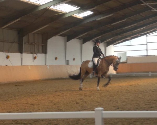Reitturnier Datteln 2018