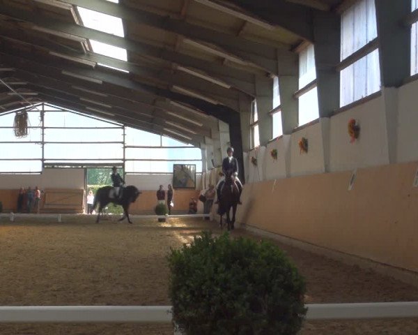 Reitturnier Datteln 2018