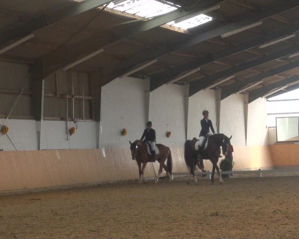 Reitturnier Datteln 2018